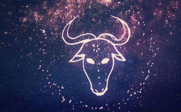 金牛座阴历十月运势怎么 金牛座十月作业运势2024年