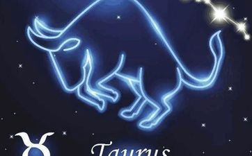 金牛座2024年的全年运势怎么 金牛座2024年每月运势