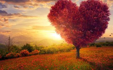 2024年十月份白羊座的运势