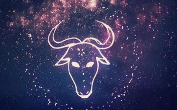 金牛座2024年十月运势