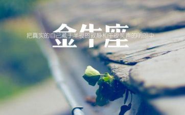 金牛女会爱上哪类男生