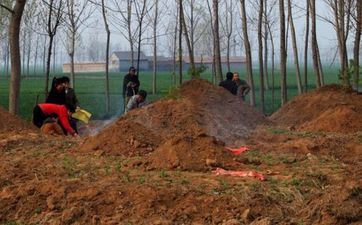 今天适宜迁坟吗 2025年12月21日黄历查询