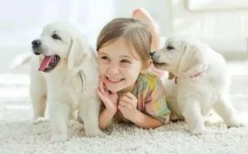 娇蛮不讲道理 却又想被人疼的星座