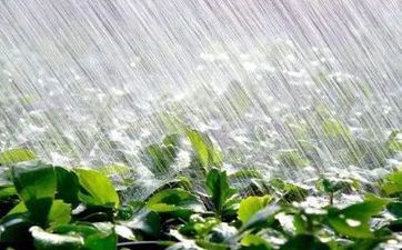 不愁吃穿婚后好逸恶劳的星座女