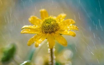 上中劣等婚配表 婚配属相表四大忌口诀