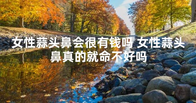 女性蒜头鼻会很有钱吗 女性蒜头鼻真的就命不好吗