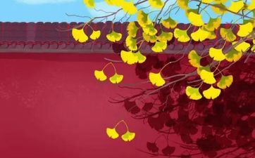 天然生成命硬 一辈子少灾少病的星座