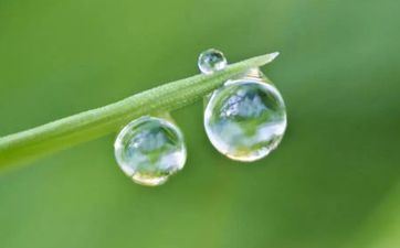 最有实力的月亮星座 最厉害的月亮星座