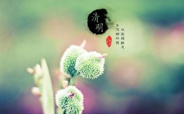 爱定方针却又碌碌无能的四大星座