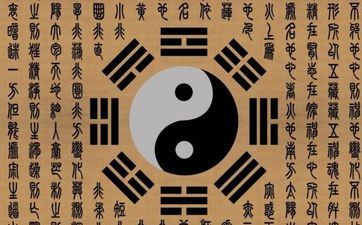 12星座求爱的耐久度