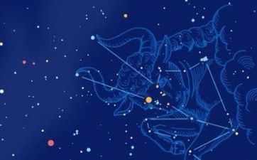 金牛座合适什么样的星座的女朋友