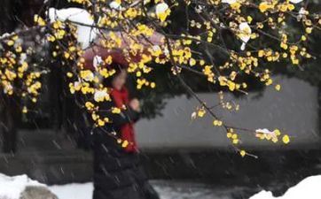 本月下旬隆运高照财路广进的星座