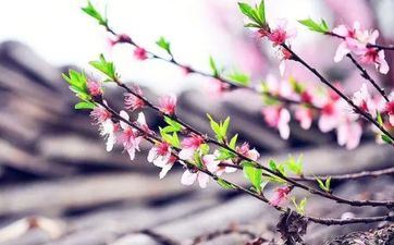 水象星座厌烦公共场所没本质的人吗？