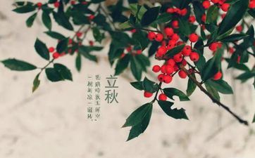 2021年立秋财气暴升的星座