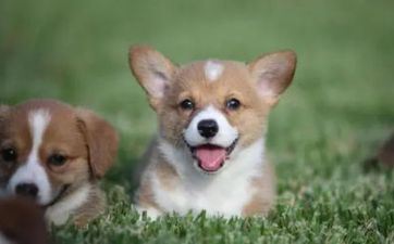 12月下旬喜从天降财气高涨的星座