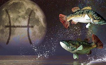 双鱼座男女怎样遇上对的人