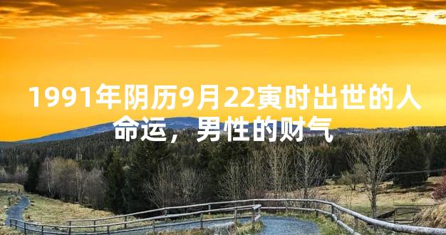 1991年阴历9月22寅时出世的人命运，男性的财气