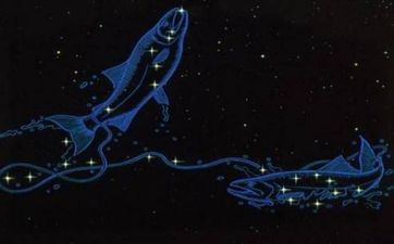 2024塔罗占卜双鱼座11月爱情