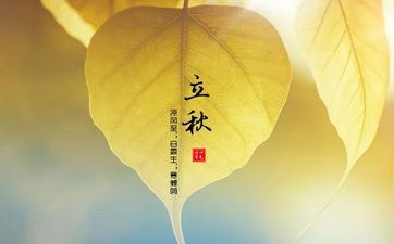 成为独身狗几率最高的星座