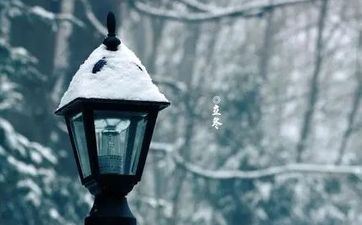 2024年注定非凡的星座 2024龙年哪些星座最闪烁