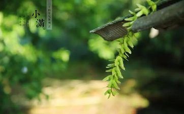 一旦遇到真爱就不再花心的星座