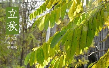 吵不分 闹不离 越吵越恩爱的星座