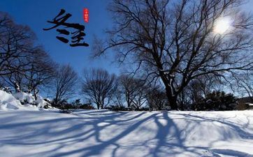 五月有巨额入账的星座