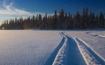 姚晨和凌潇肃的命运原来是这样