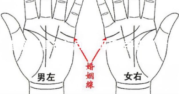 看面相算命运可信吗男(手相算命)