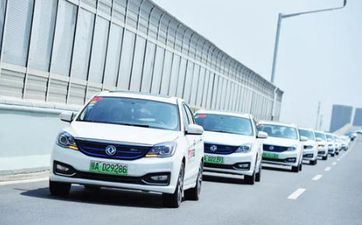 不走寻常路 总会变成人上人的星座