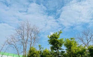 2024年偏财气最佳的星座女 一夜暴富不再是梦