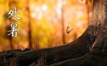 为何这些星座简单堕入爱情僵局中？