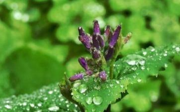 最简单被卷铺盖的星座