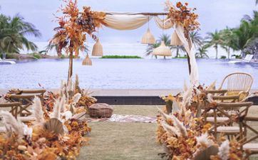 从小到大明理又孝顺，没让家人操过心，自己闯出一片天的星座