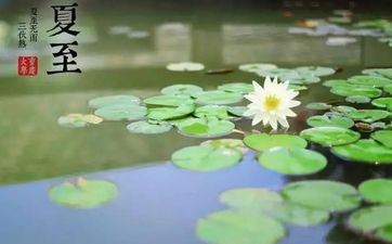 这三大星座性情内敛，不敢去表达