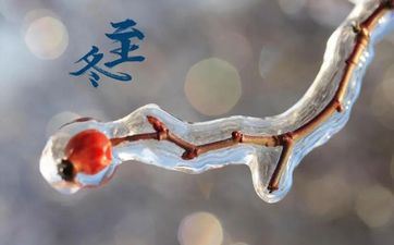 超爽性，不爱就决断说不的星座