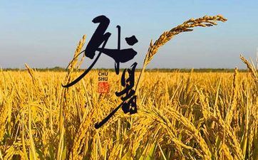 2024年哪些星座女享乐有钱 2024年财气特好的星座女