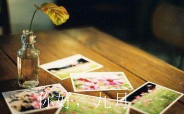 12月份哪天合适动土 2024年12月动土黄道好日子有12天