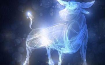 金牛座对待爱情的情绪 金牛座男生的性情爱情