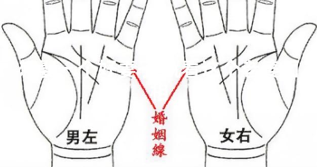 想娶一个好妻子 就看这个老婆面相