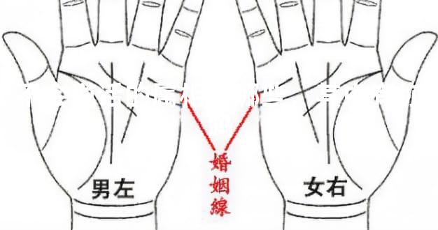 不会说话的属相有哪些，其中有你吗