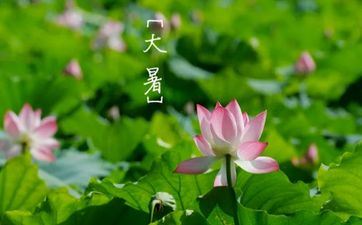 2024年7月23日大暑是订亲的黄道吉日吗