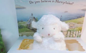 2023年属兔和属羊适宜成婚的好日子大全(属羊在2023年成婚好仍是欠好)