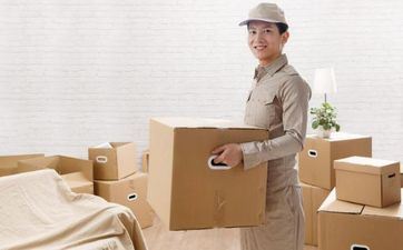 2023年属兔人搬迁好日子 87年属兔2023年搬迁好日子