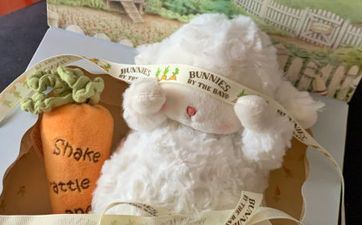 2024年6月属羊人上等提车好日子 最吉祥的买车日子