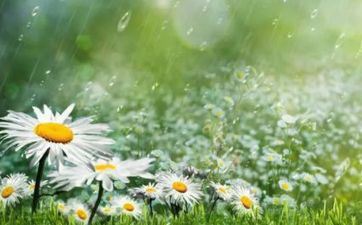 2024年立夏前一天能够成婚吗 立夏天能够吃什么食物