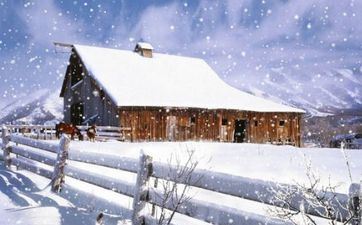 2023年冬月十一合适举行婚礼吗