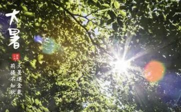 2023年大暑节气是什么时分 大暑节气农谚