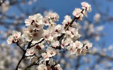 2023年立春几点几分