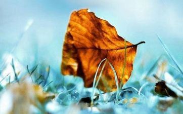 2023年立秋时刻是早仍是晚